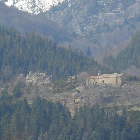 Location Mas Avec Piscine Haut Vallespir Le Tech Exterior photo