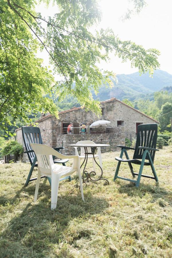 Location Mas Avec Piscine Haut Vallespir Le Tech Exterior photo