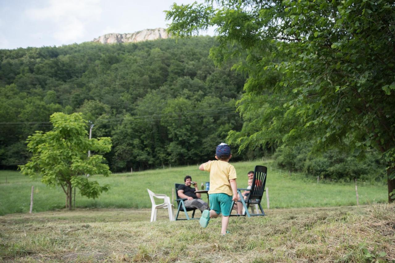 Location Mas Avec Piscine Haut Vallespir Le Tech Exterior photo