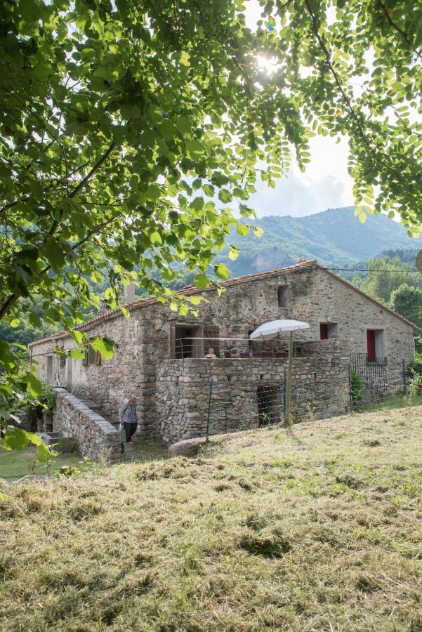 Location Mas Avec Piscine Haut Vallespir Le Tech Exterior photo