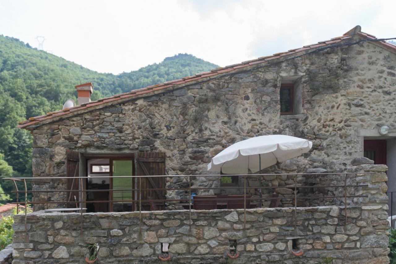 Location Mas Avec Piscine Haut Vallespir Le Tech Exterior photo