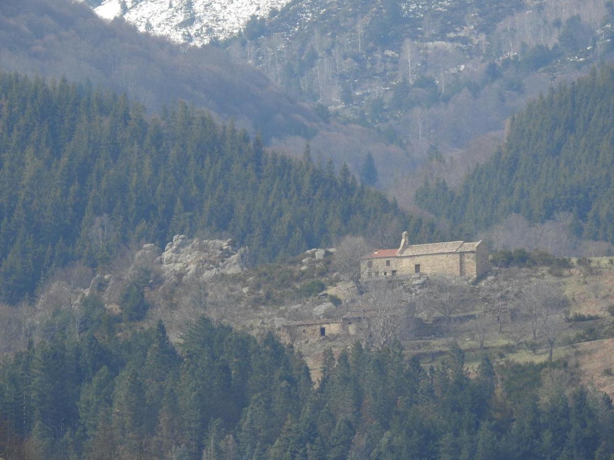 Location Mas Avec Piscine Haut Vallespir Le Tech Exterior photo